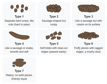 Picture showing the Stool Chart Element. 